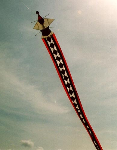 SUNDAY INSPIRATION | Kites