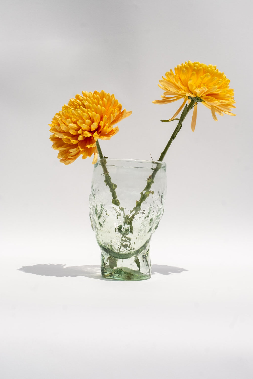 Roma Vase - Transparent