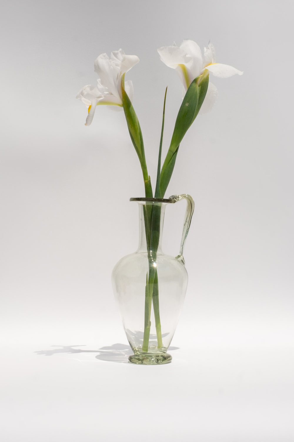 Royal Petit Transparent