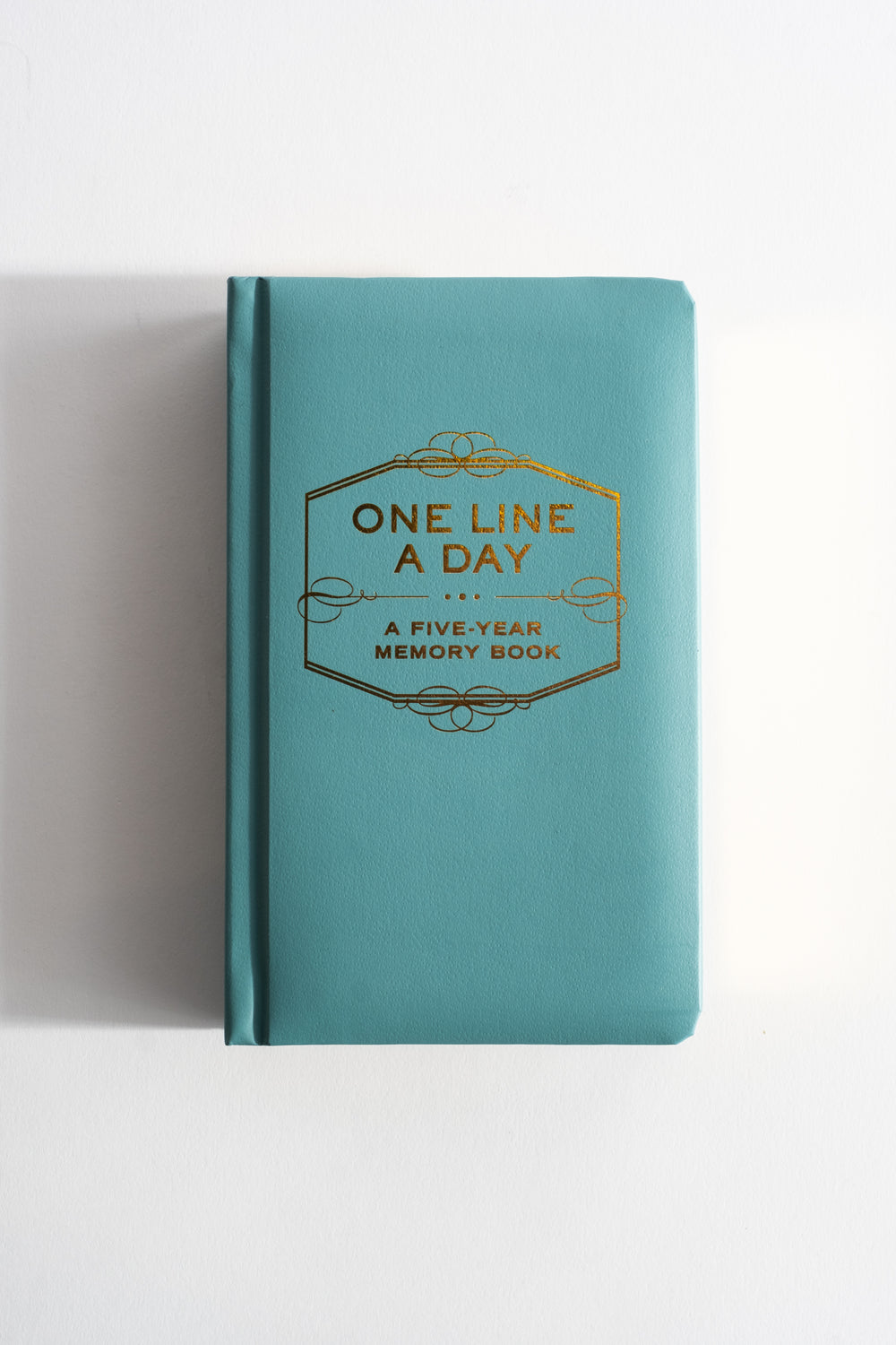 One Line a Day Journal
