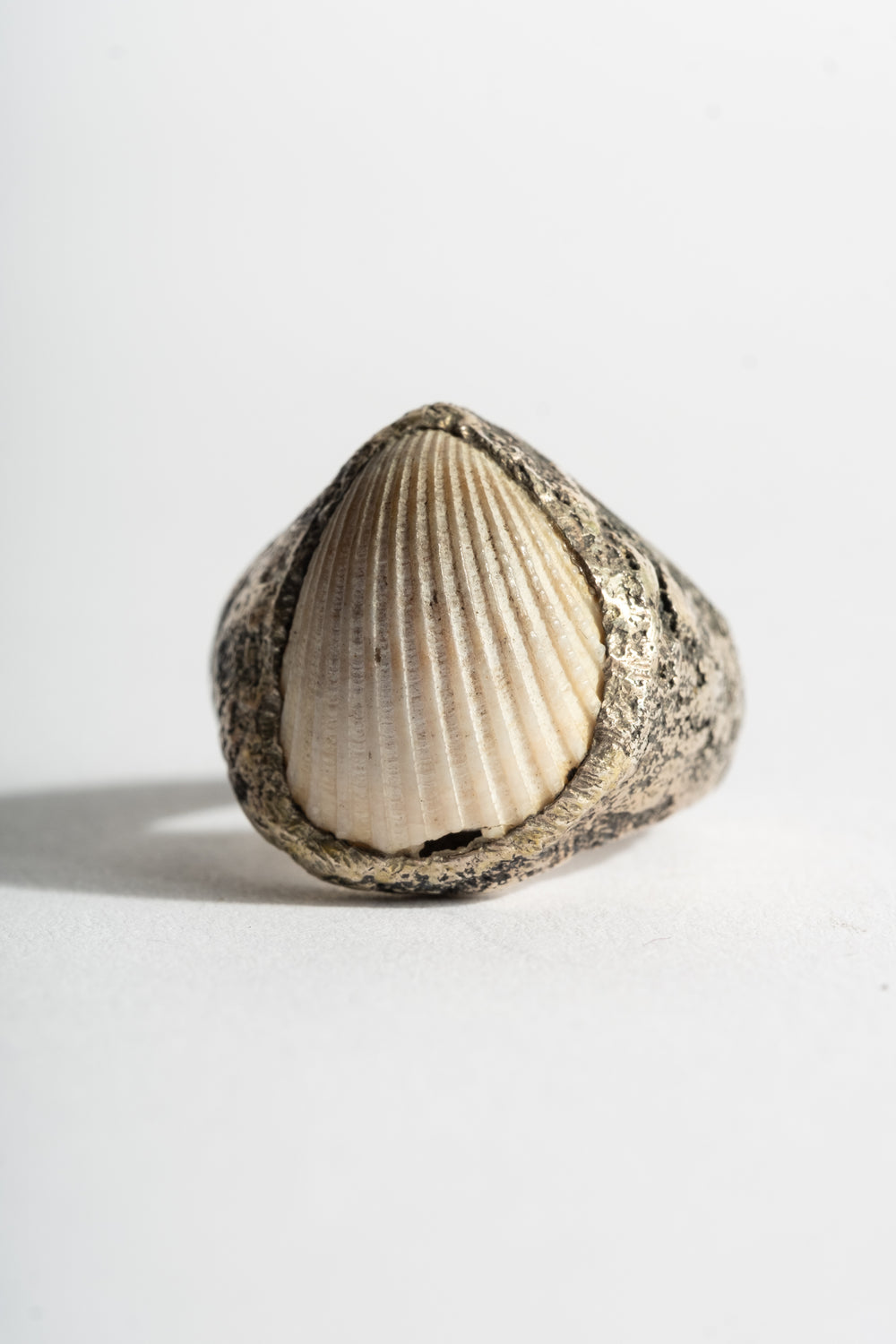 Sterling Shell Ring No. 1