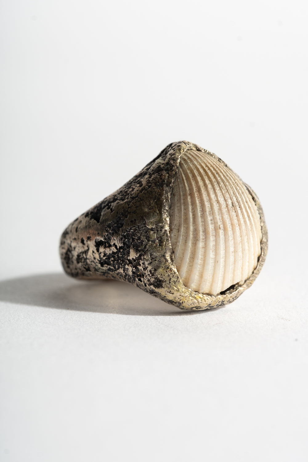 Sterling Shell Ring No. 1