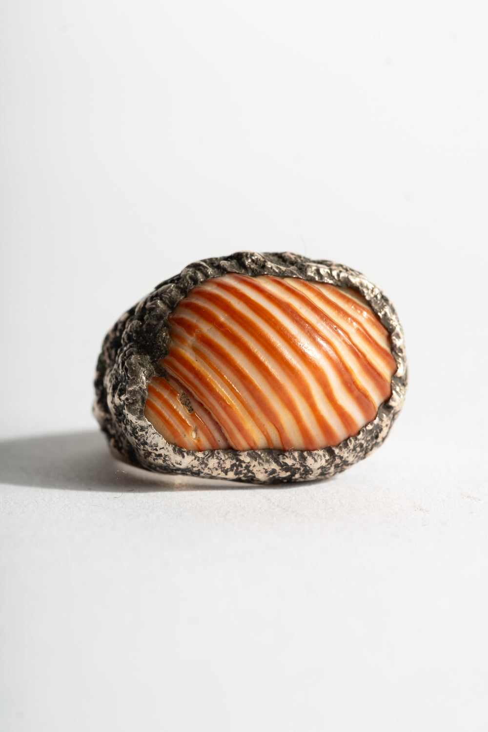 Sterling Shell Ring No. 2