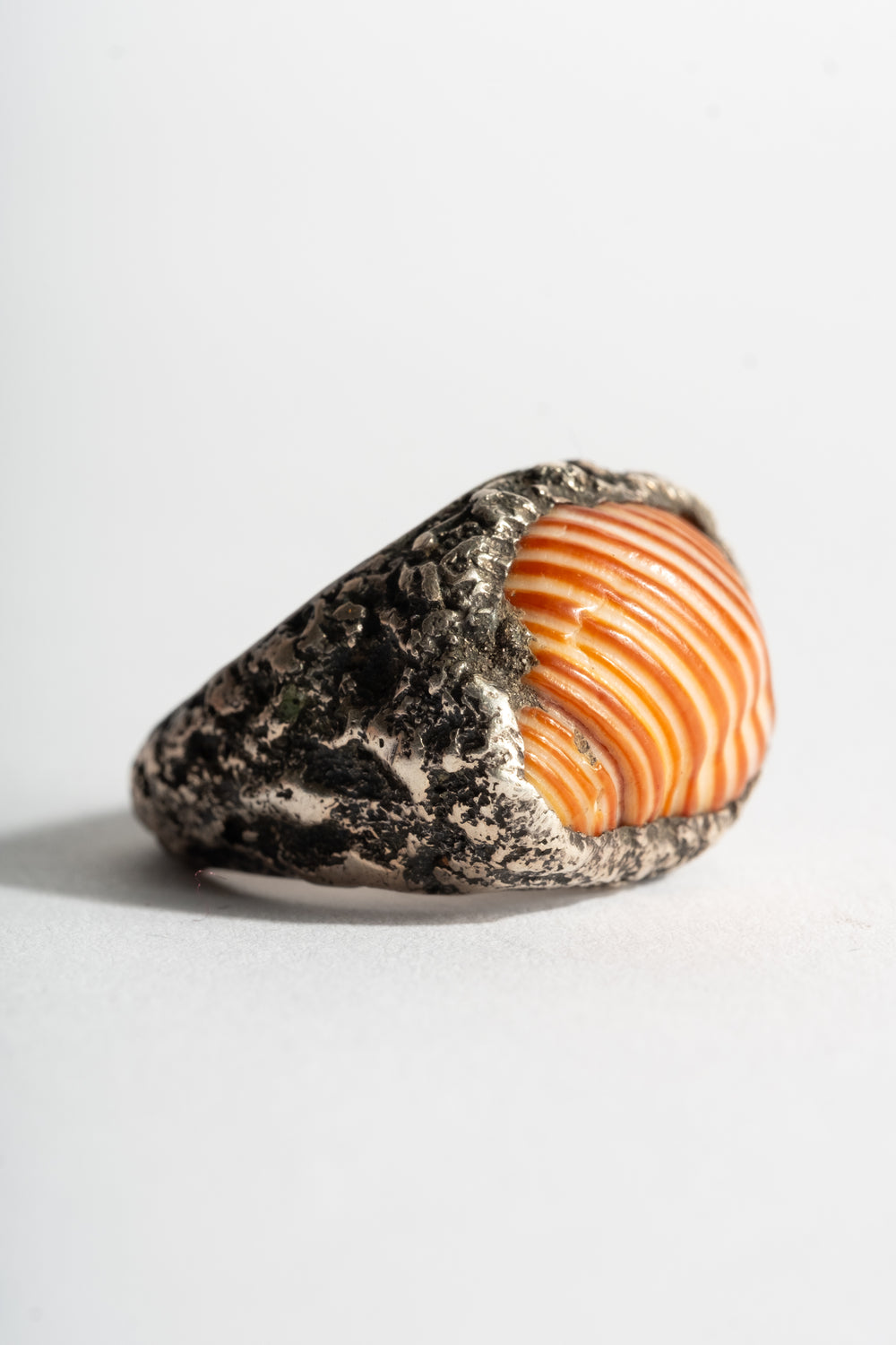 Sterling Shell Ring No. 2