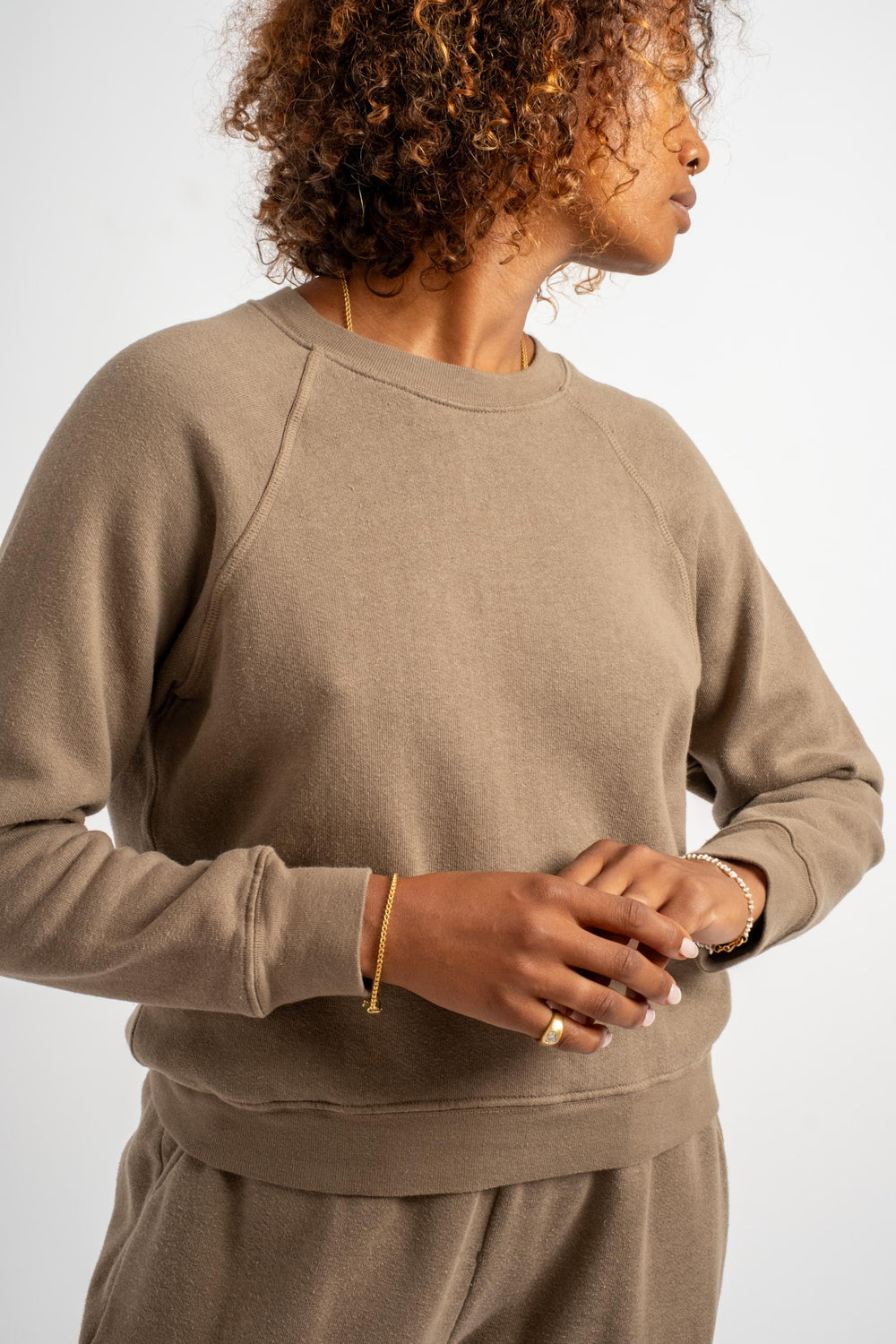 The Crewneck Sweatshirt in Taupe