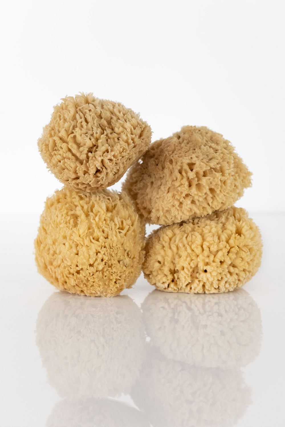 Natural Sea Wool Sponge