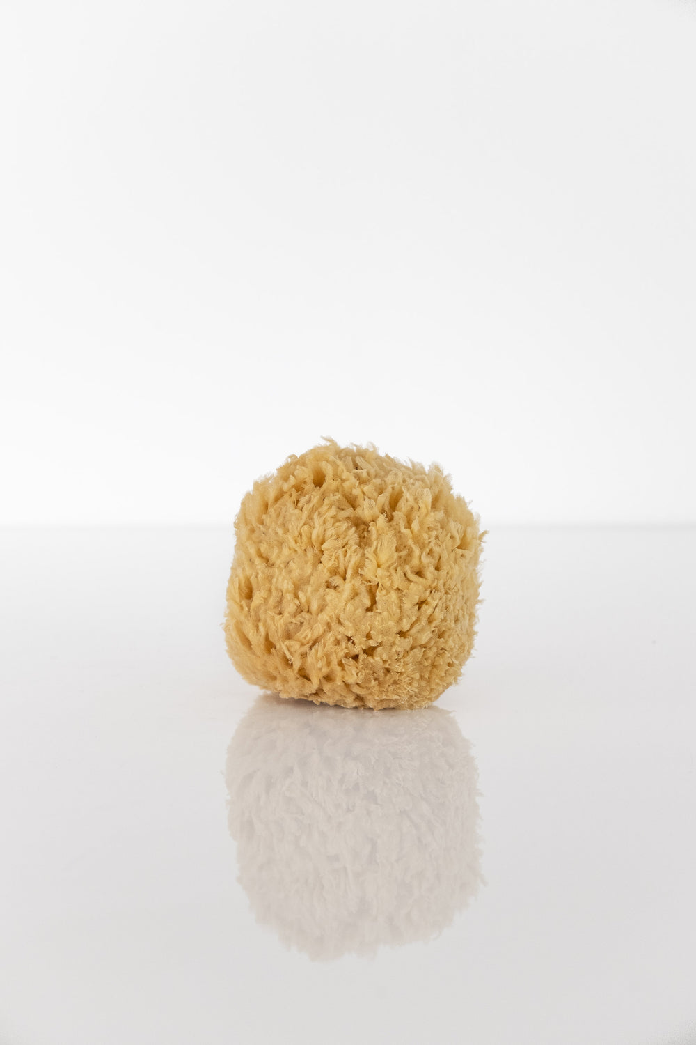 Natural Sea Wool Sponge