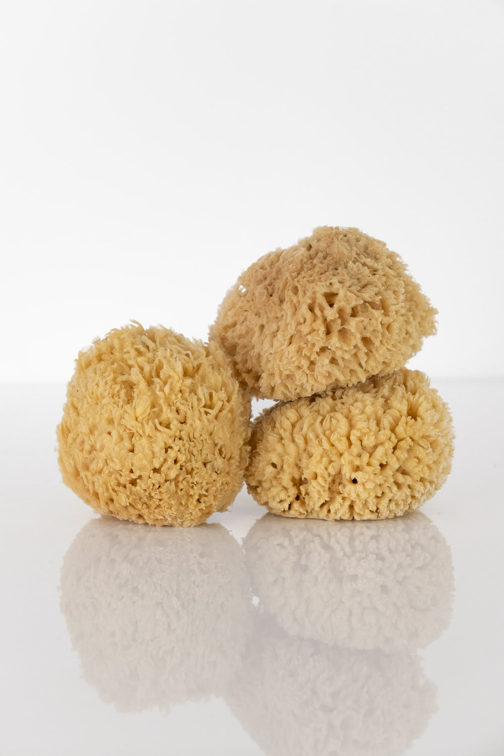 Natural Sea Wool Sponge