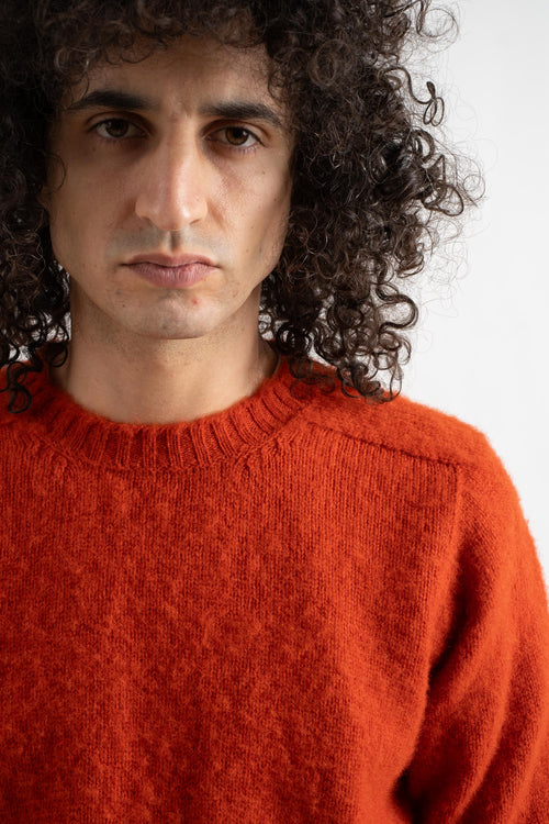 SHAGGY BEAR IN RED TIGER