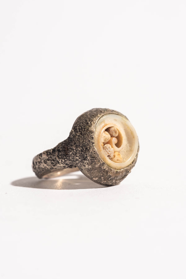 Sterling Shell Ring #2