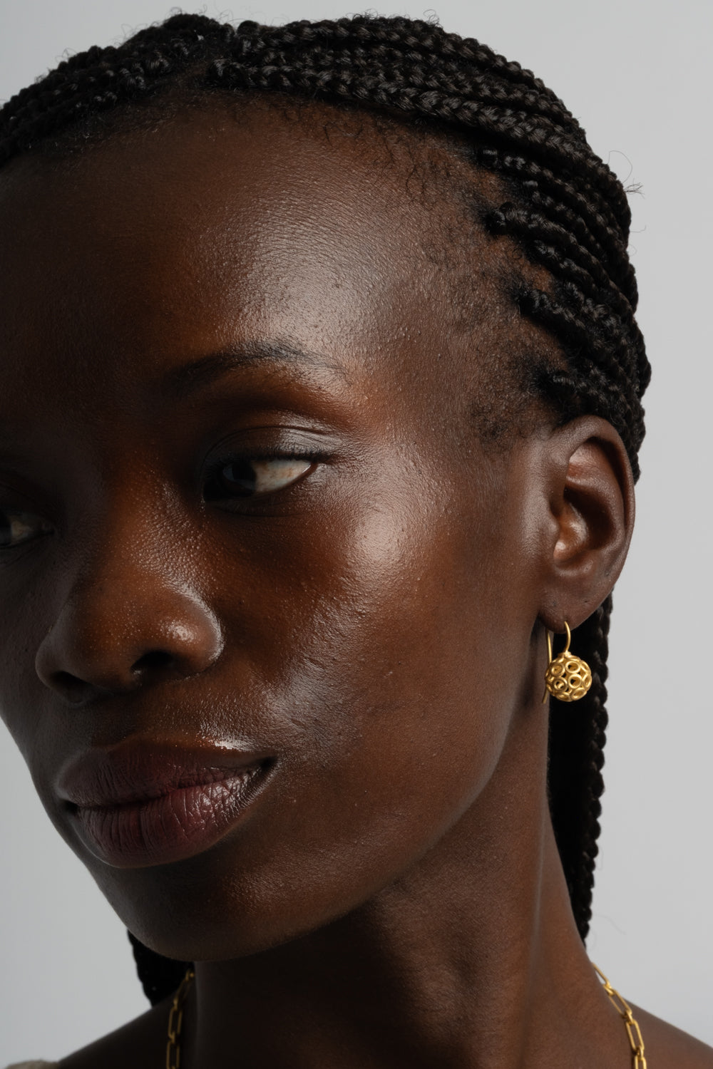 Golden Circle Earrings