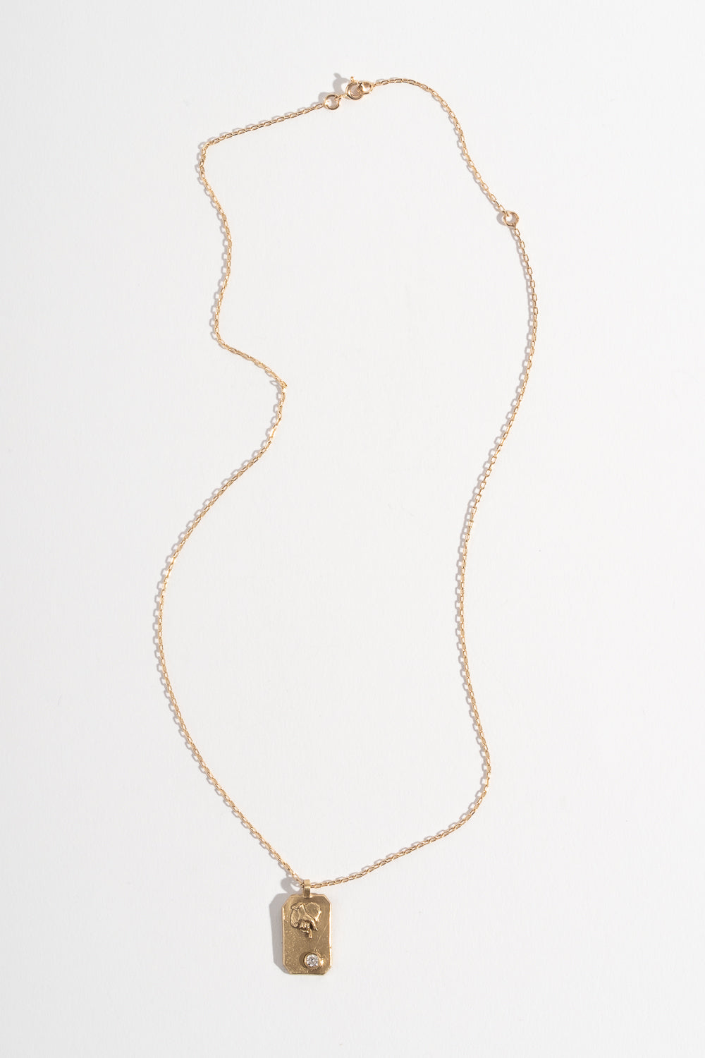 14K + Diamond Destined Necklace