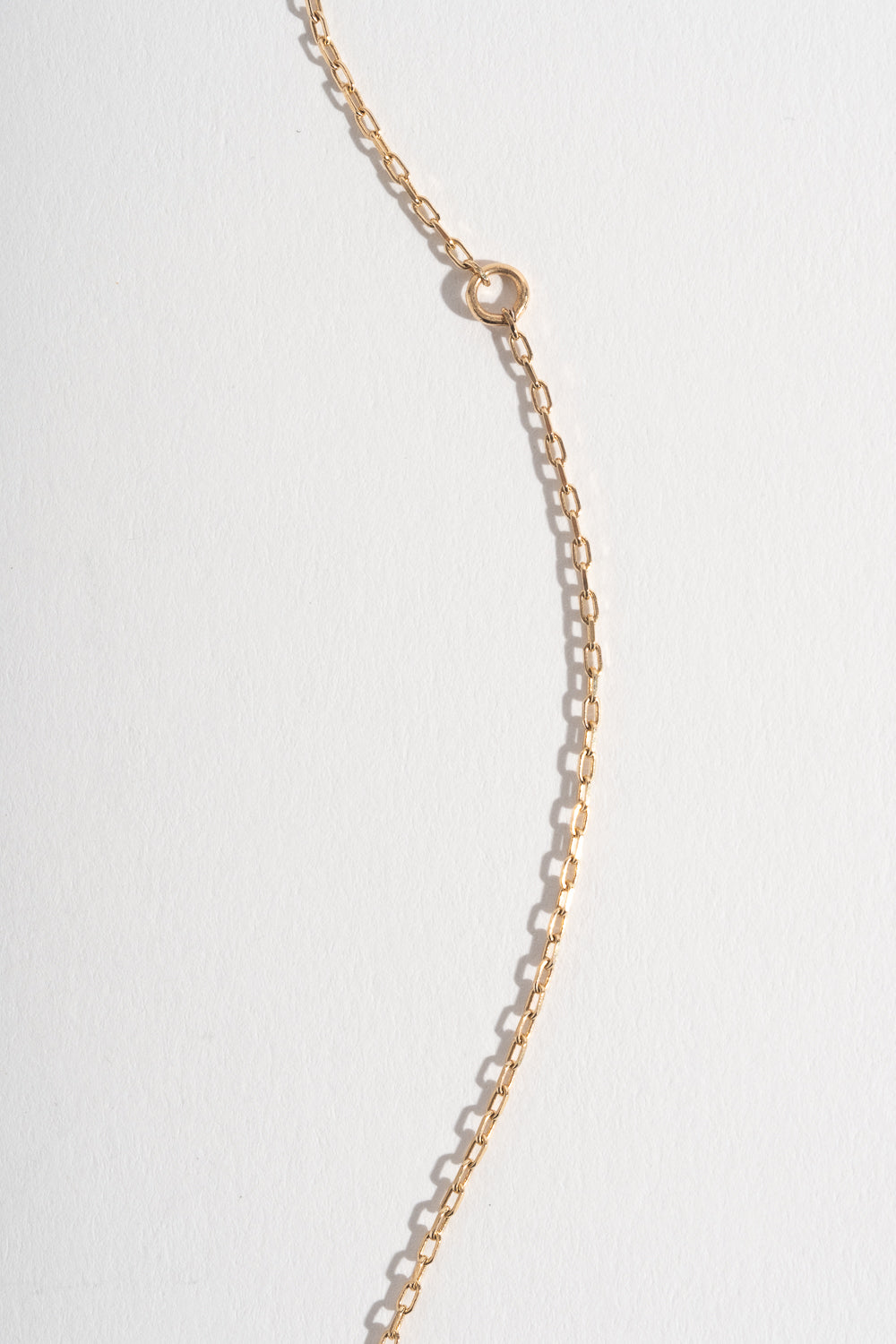 14K + Diamond Destined Necklace