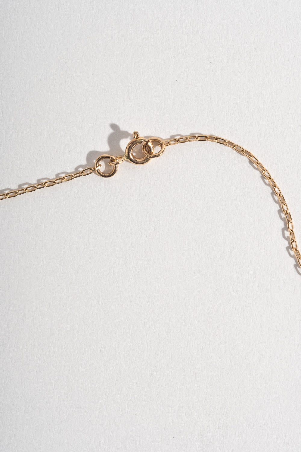 14K + Diamond Destined Necklace