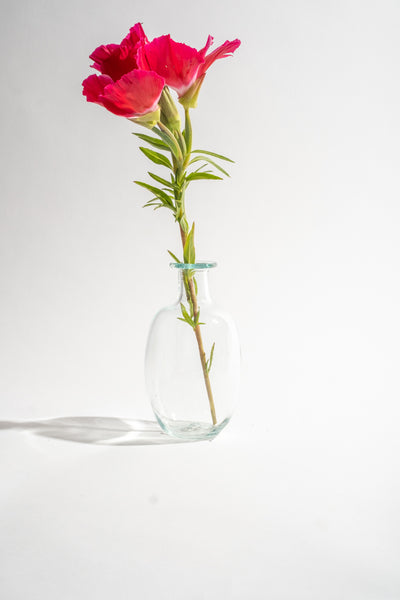 Amour Sans Anse Transparent
