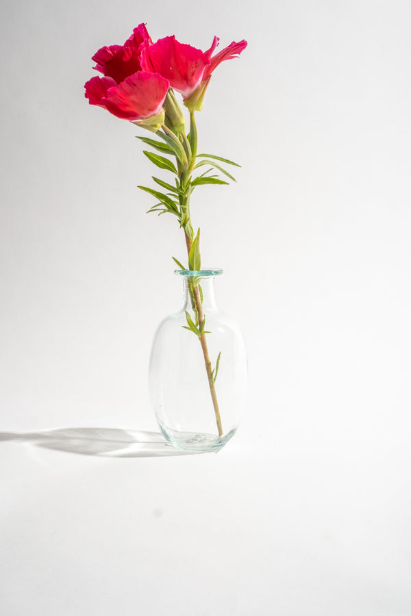 Amour Sans Anse Transparent