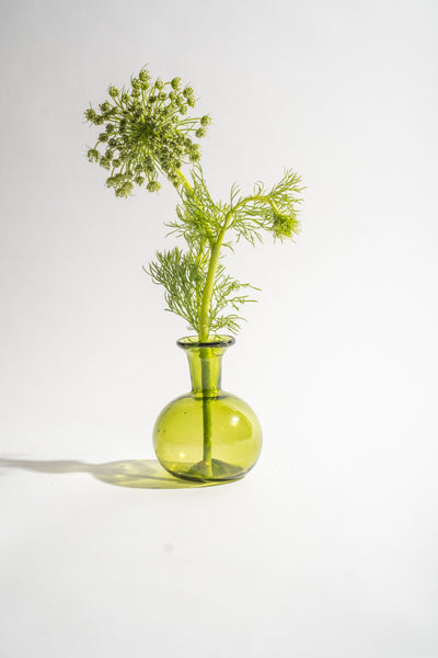 Piccola Olive
