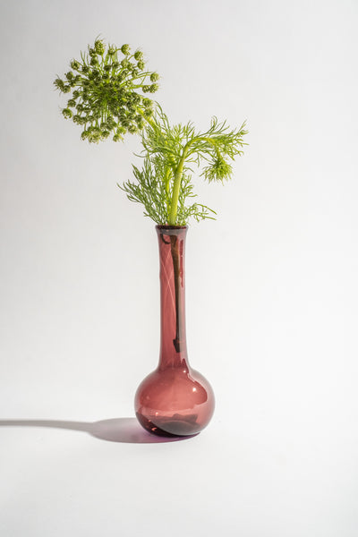 Sam Framboise