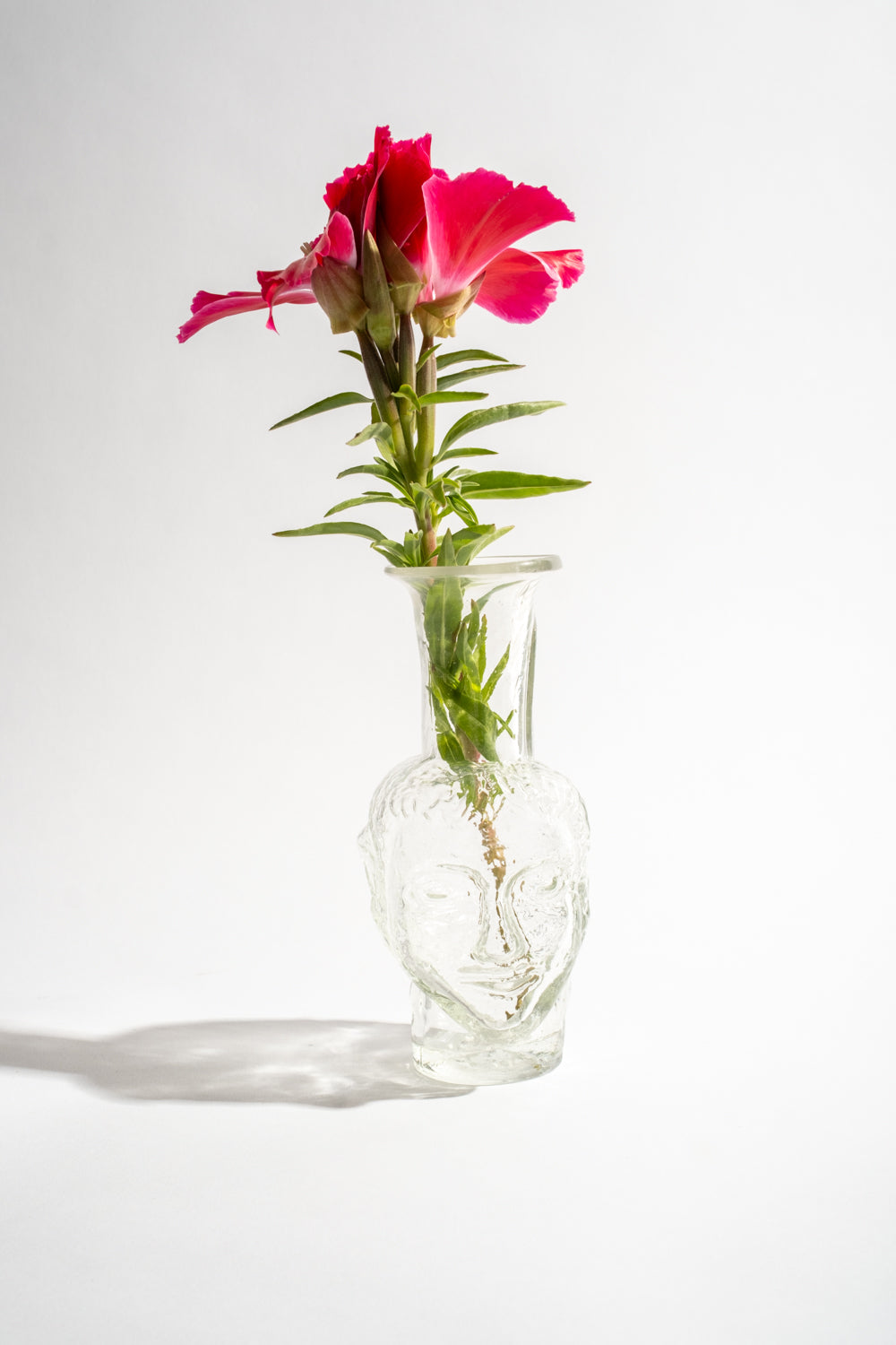 Vase Tête Transparent