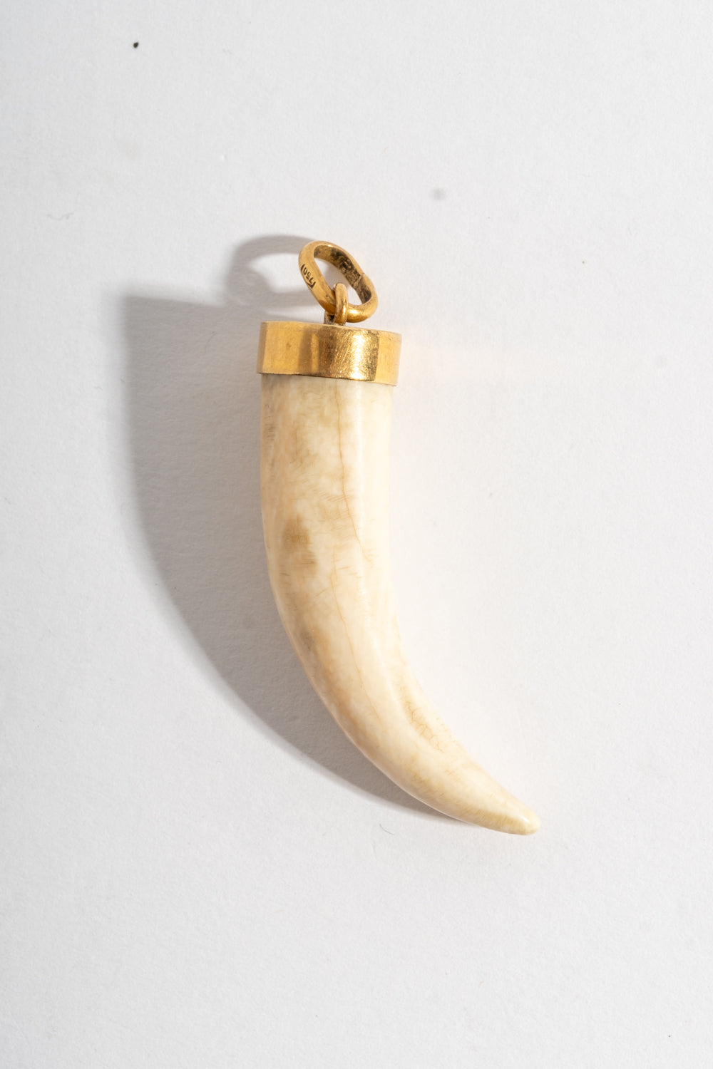 18K Boar Tusk Pendant