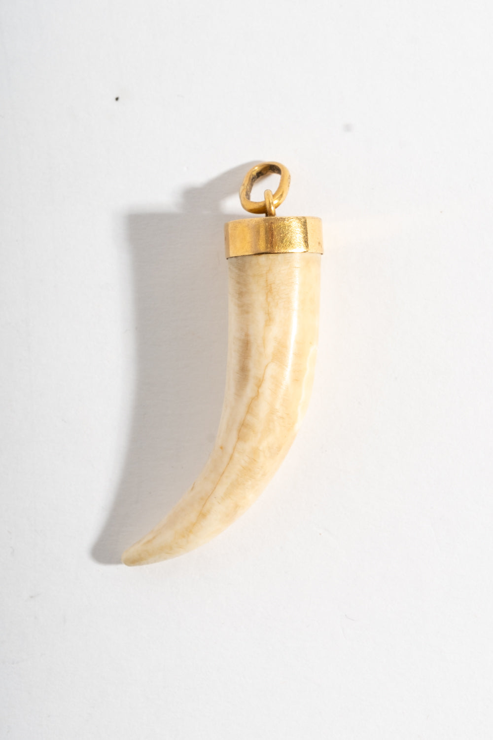 18K Boar Tusk Pendant