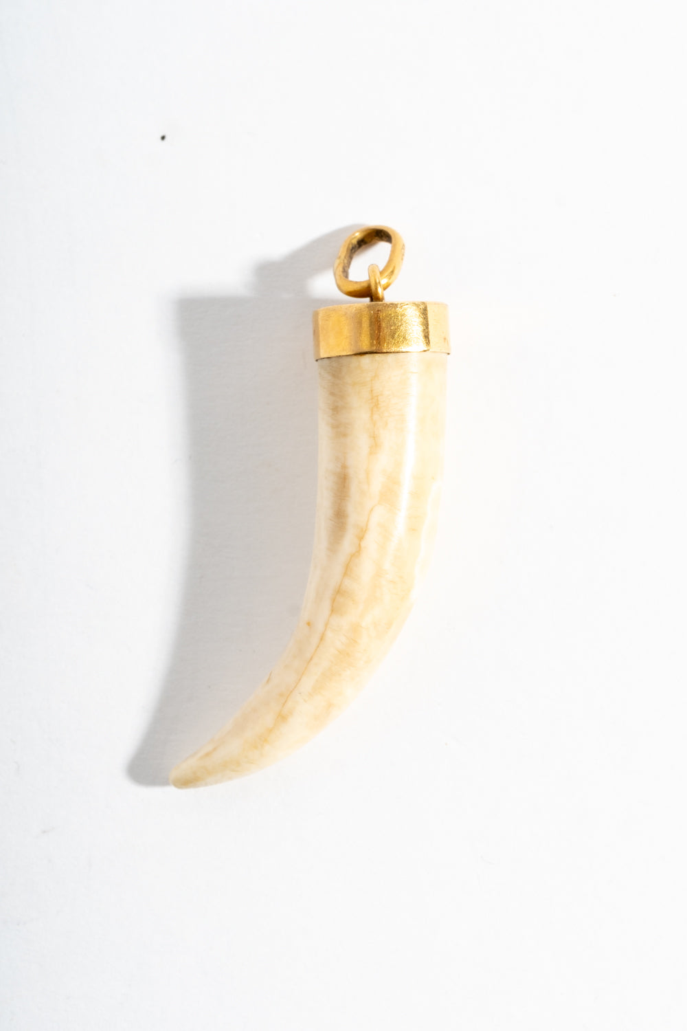 18K Boar Tusk Pendant