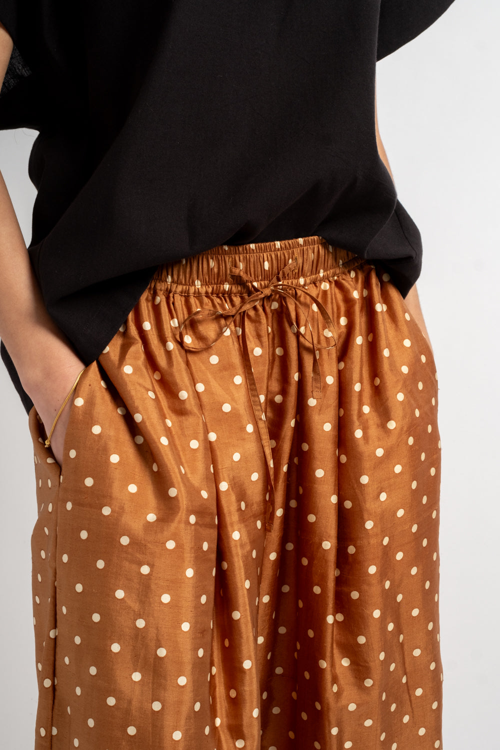 Silk Pants in Brown