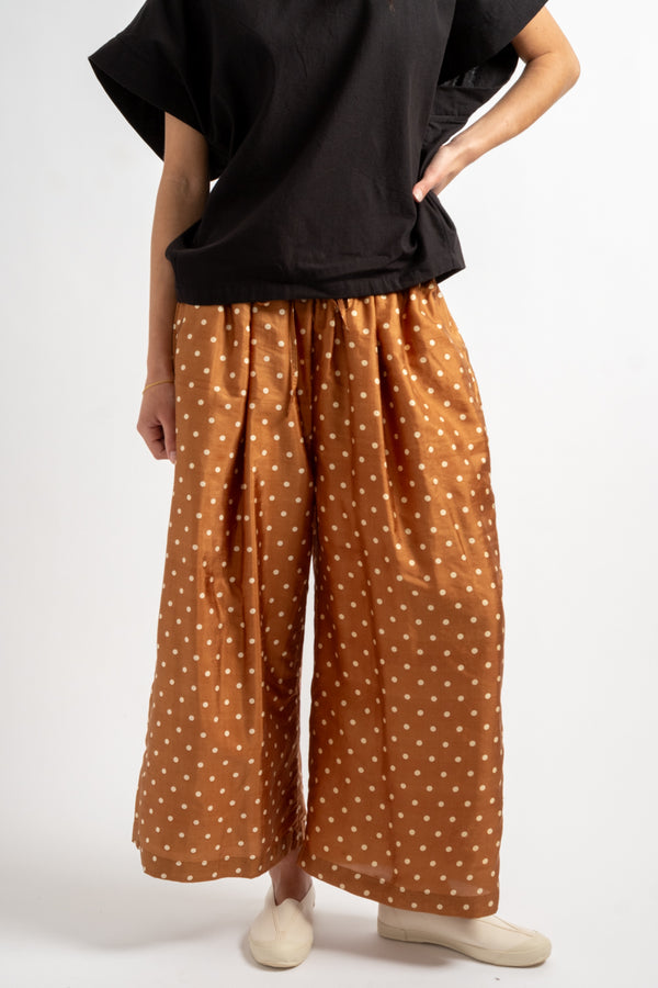 Silk Pants in Brown