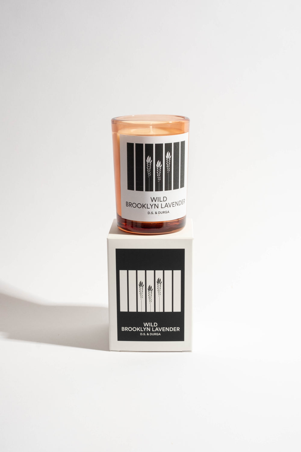 Wild Brooklyn Lavender