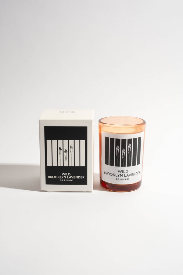 Wild Brooklyn Lavender