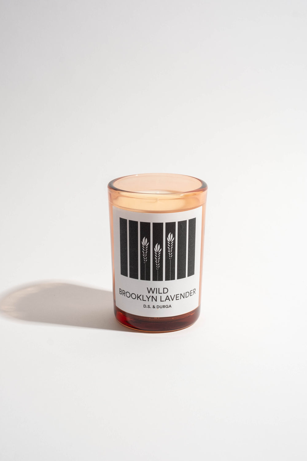 Wild Brooklyn Lavender