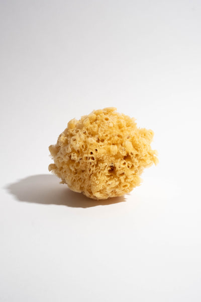 Natural Sea Wool Sponge