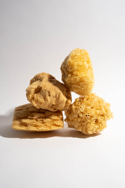Natural Sea Wool Sponge