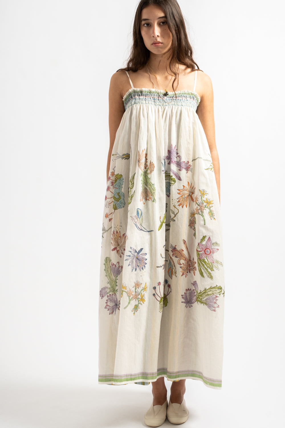 Herbarium 85 Slip