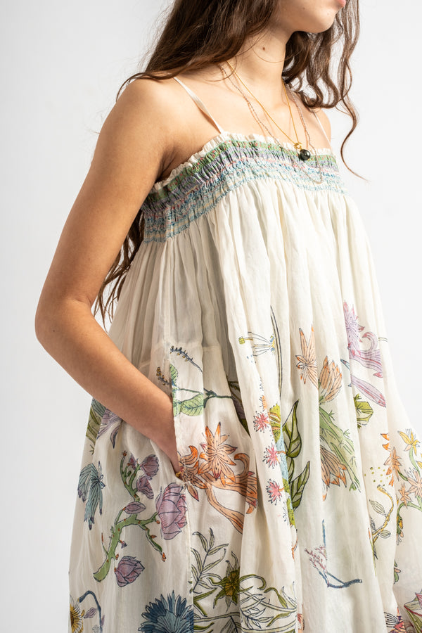 Herbarium 85 Slip
