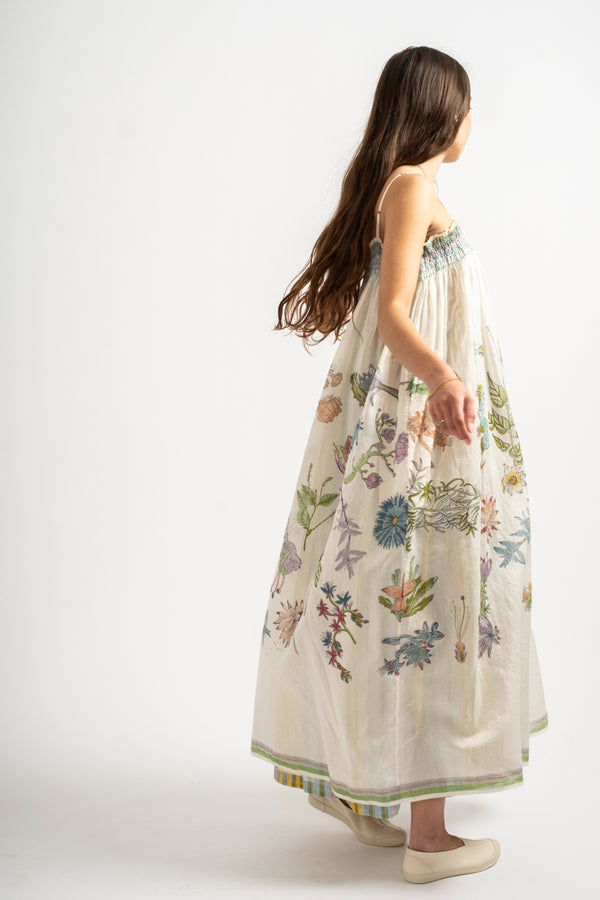 Herbarium 85 Slip