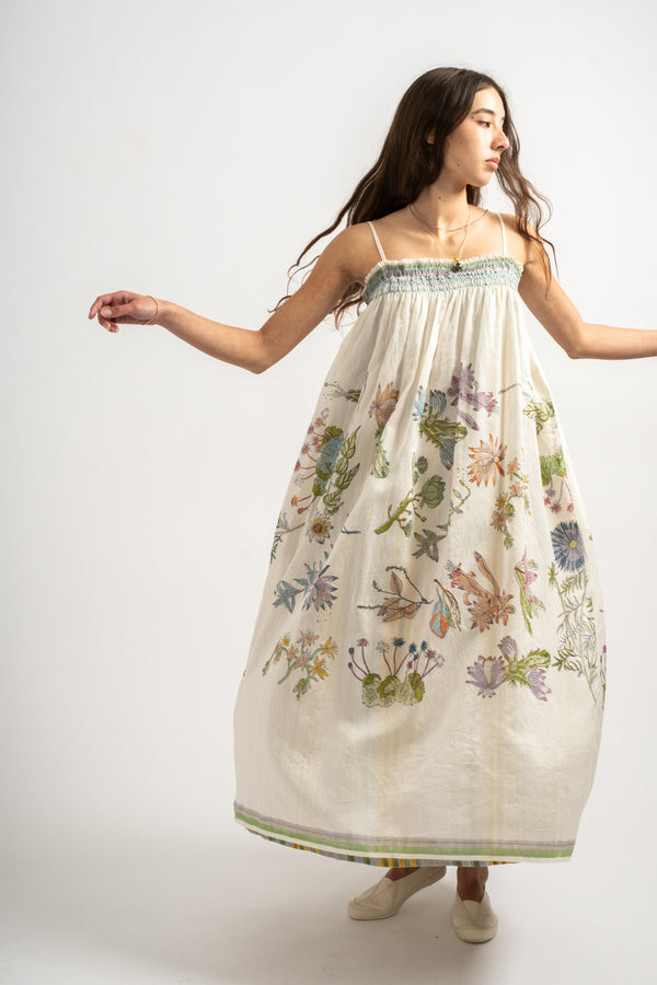 Herbarium 85 Slip