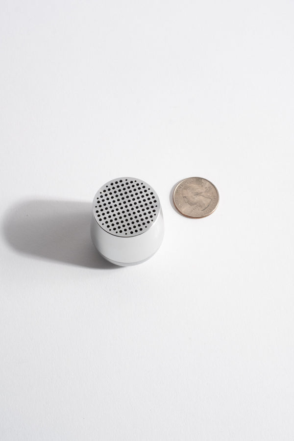 Bluetooth Speaker in Polished Silver