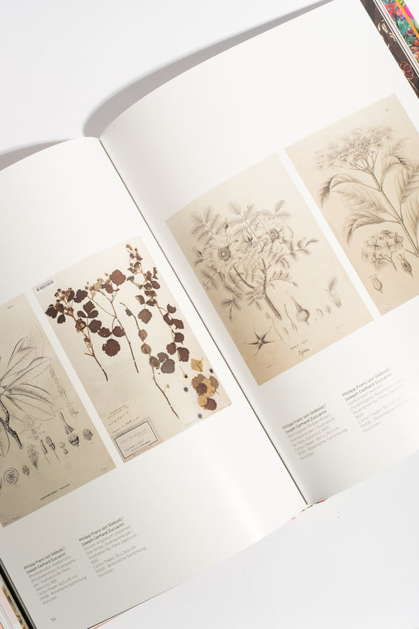 Flowers: From the Renaissance to Artificial Intelligence