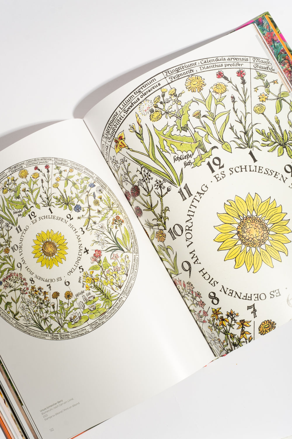 Flowers: From the Renaissance to Artificial Intelligence