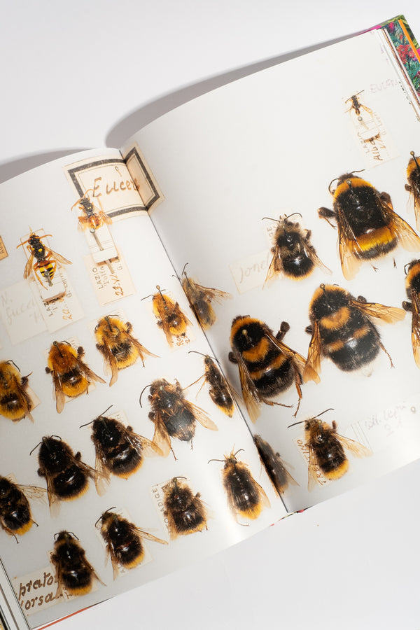 Flowers: From the Renaissance to Artificial Intelligence