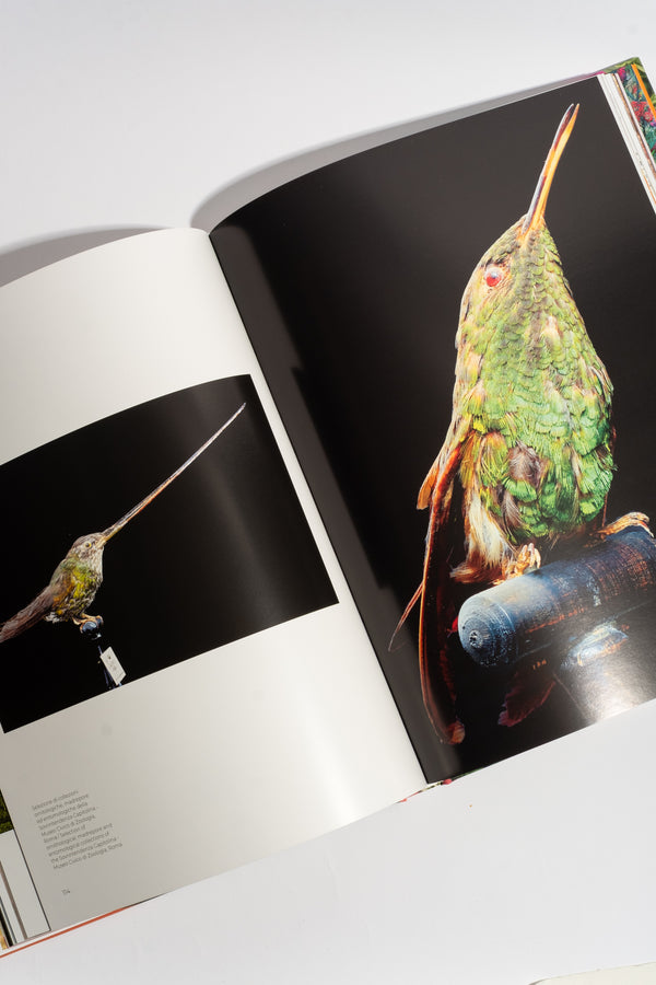 Flowers: From the Renaissance to Artificial Intelligence