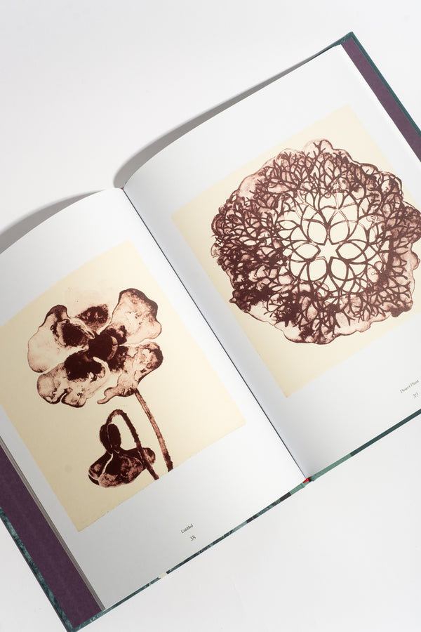 Ruth Asawa: The Tamarind Prints