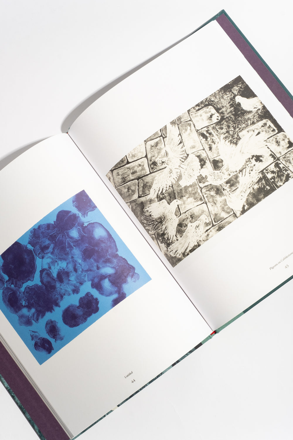 Ruth Asawa: The Tamarind Prints