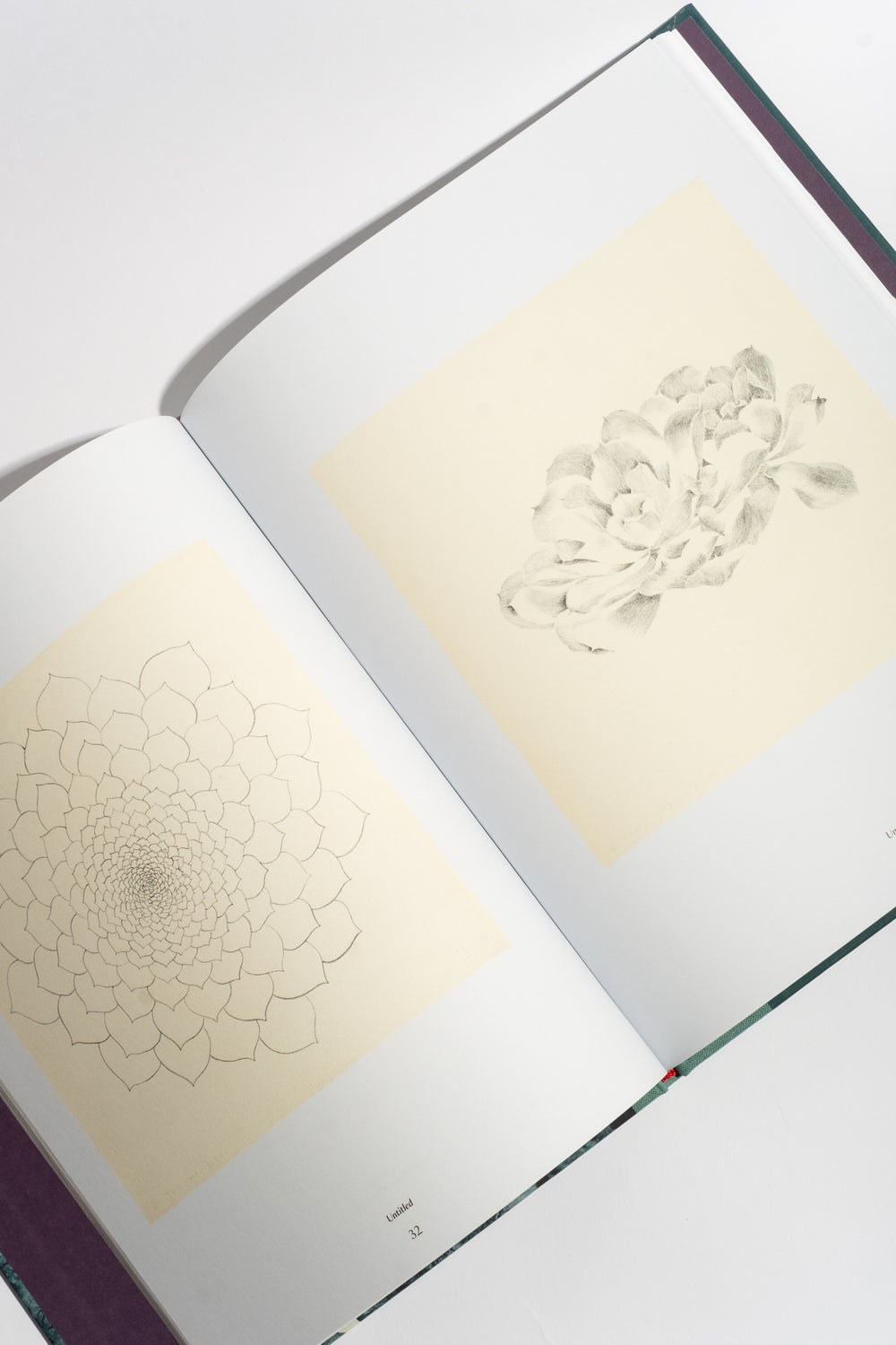 Ruth Asawa: The Tamarind Prints