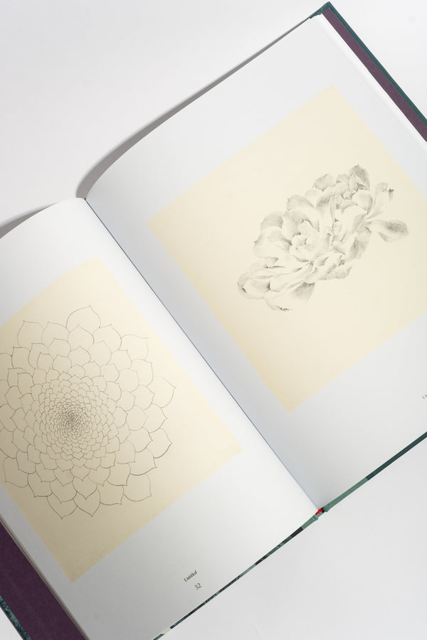 Ruth Asawa: The Tamarind Prints