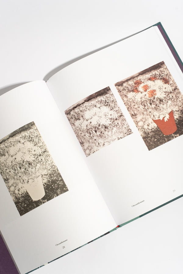 Ruth Asawa: The Tamarind Prints