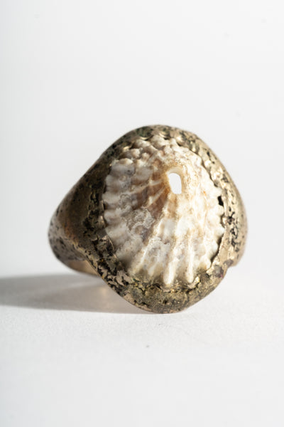 Sterling Limpet Ring