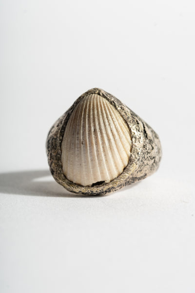 Sterling Shell Ring No. 1