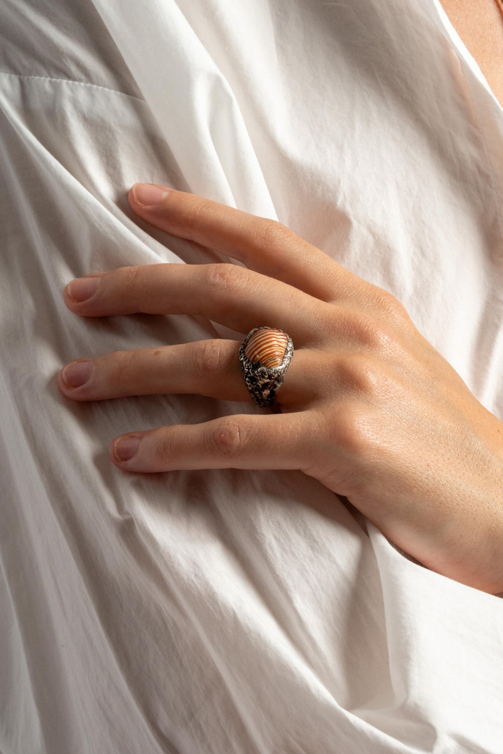 Sterling Shell Ring No. 2